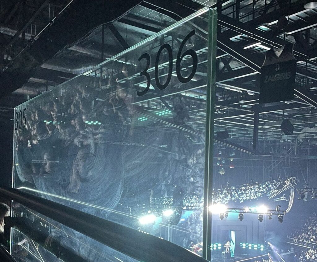 Kauno „Žalgirio“ arena / Delfi.lt / Skaitytojo nuotr.
