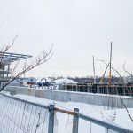 Stadiono statybos Ąžuolyne