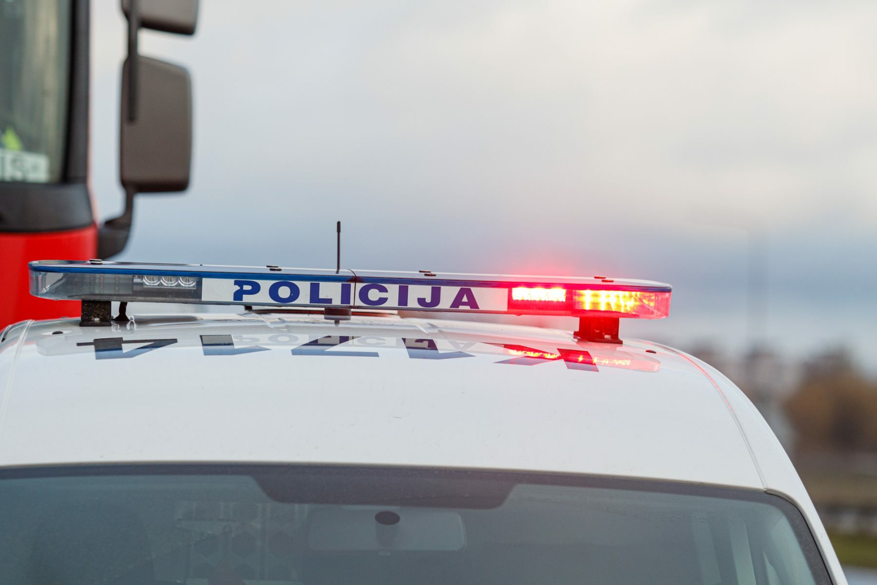 Vilkiko priekaboje rasti nelegalai