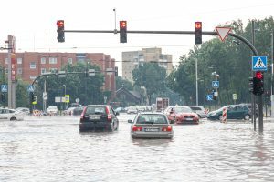 Patvinęs Taikos prospektas