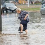 Patvinęs Taikos prospektas
