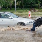 Patvinęs Taikos prospektas