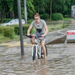 Patvinęs Taikos prospektas
