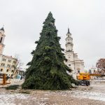 Statoma kalėdinė eglutė Rotušės aikštėje