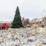 Statoma kalėdinė eglutė Rotušės aikštėje