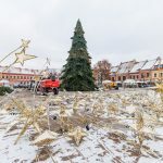 Statoma kalėdinė eglutė Rotušės aikštėje