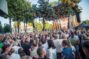 Aludarių diena Kaune / Organizatorių nuotr. 