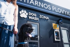 „Dog Wash“ / Švaros broliai nuotr.