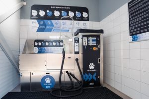 „Dog Wash“ / Švaros broliai nuotr.