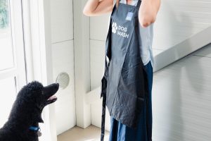 „Dog Wash“ / Švaros broliai nuotr.