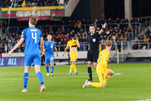 Futbolas: Lietuva – Suomija / R. Tenio nuotr.