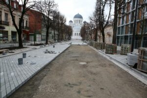 Laisvės alėjos liepa milžinė / M. Patašiaus nuotr.