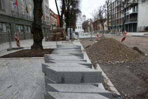 Laisvės alėjos liepa milžinė / M. Patašiaus nuotr.