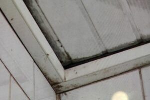 Daržovių perdirbimo ceche UAB „Arajus“ / VMVT nuotr.