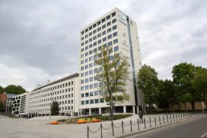 Vienybės aikštės ąžuolas / M. Patašiaus nuotr.