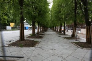 Laisvės alėjos rekonstrukcija / M. Patašiaus nuotr.