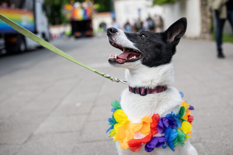„Baltic Pride“ 2025 m. festivalis sostinėje / P. Peleckio / BNS nuotr.