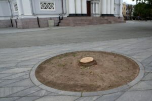 Klevas Nepriklausomybės aikštėje / M. Patašiaus nuotr.