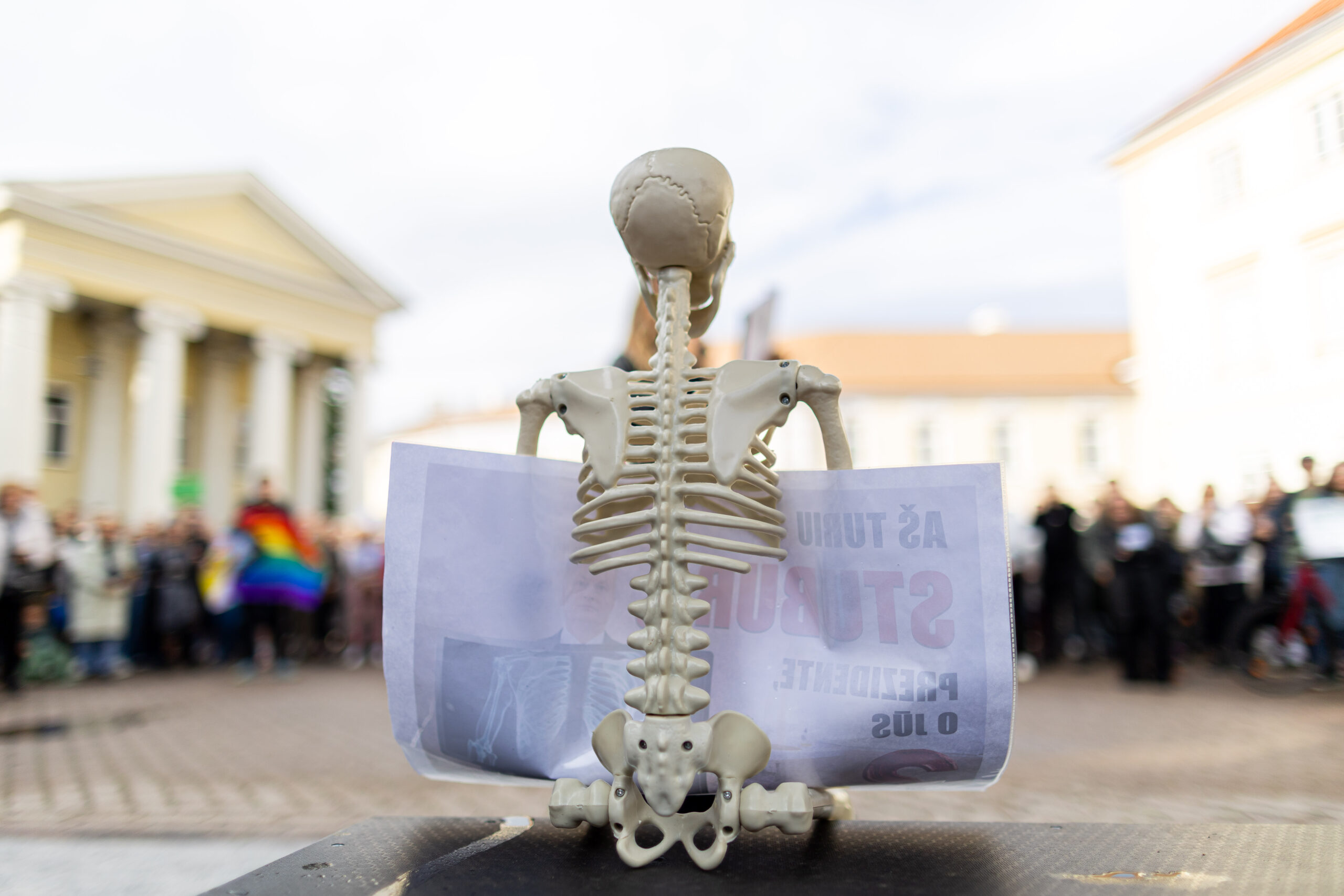 Protestai "Prezidente, kur Jūsų stuburas?" / ELTA / Ž. Gedvilos nuotr.
